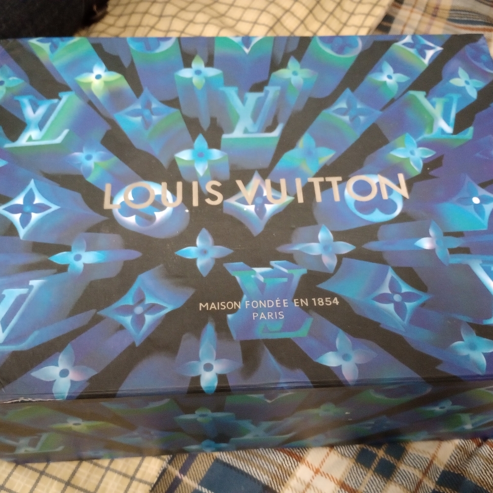 Louis Vuitton Blue Athletic Sneakers with Distinctive Design - Picture 15 of 15
